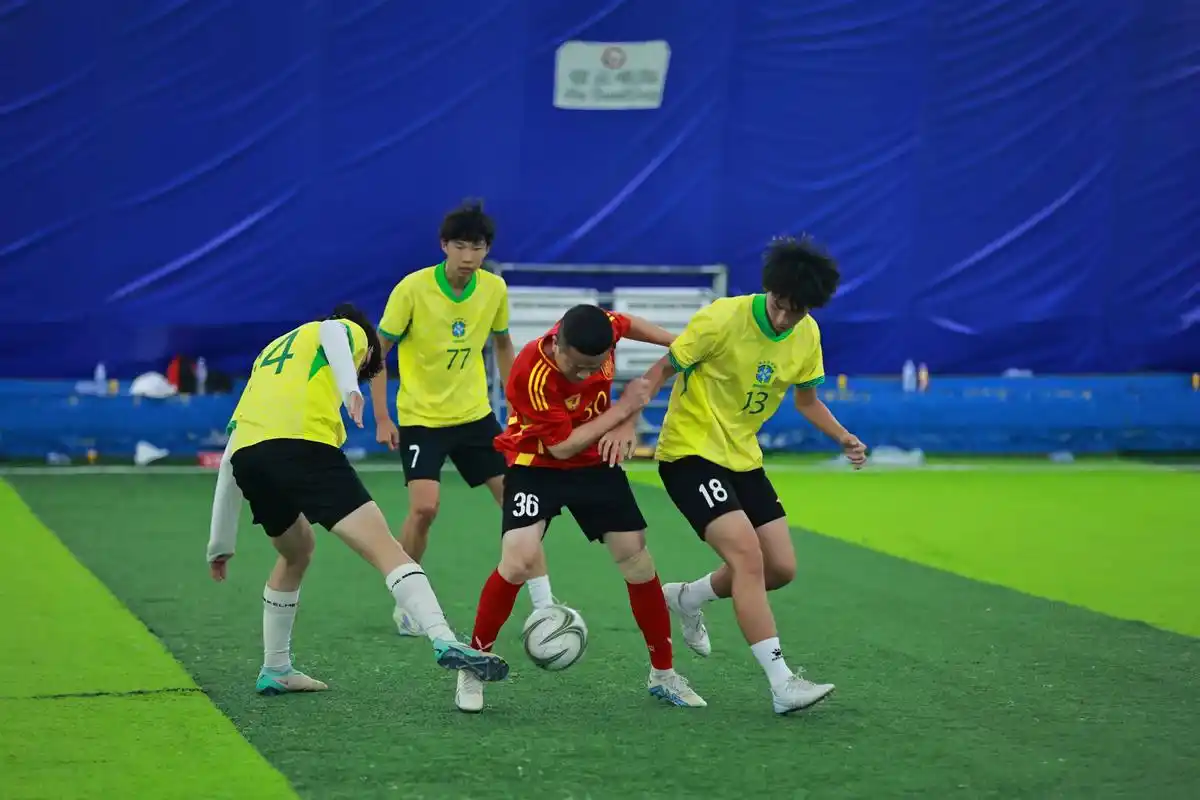 雨燕体育直播在线观看